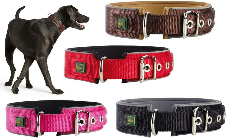 HUNTER NEOPREN REFLECT Hundehalsband, Nylon, Neopren gepolstert, reflektierend, 65 (L-XL), Halsumfan