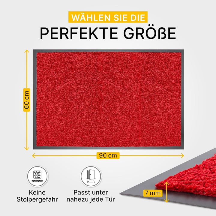 Entrando Schmutzfangmatte - für innen und aussen, wetterfest, waschbar, rutschfest - ideal für Flur,