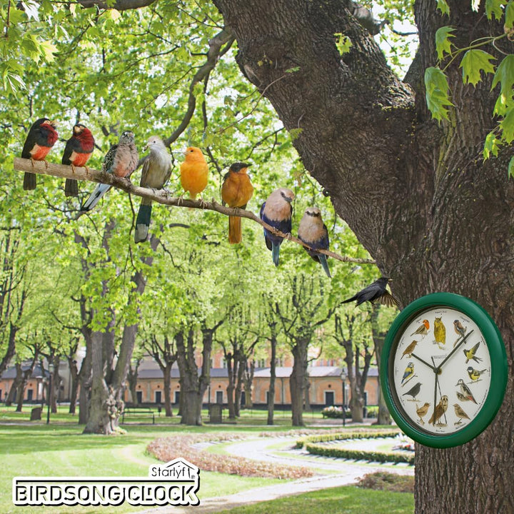Wanduhr mit Vogelstimmen STARLYF Birdsong Clock, Wanduhr mit echten Klängen von 12 verschiedenen Vög