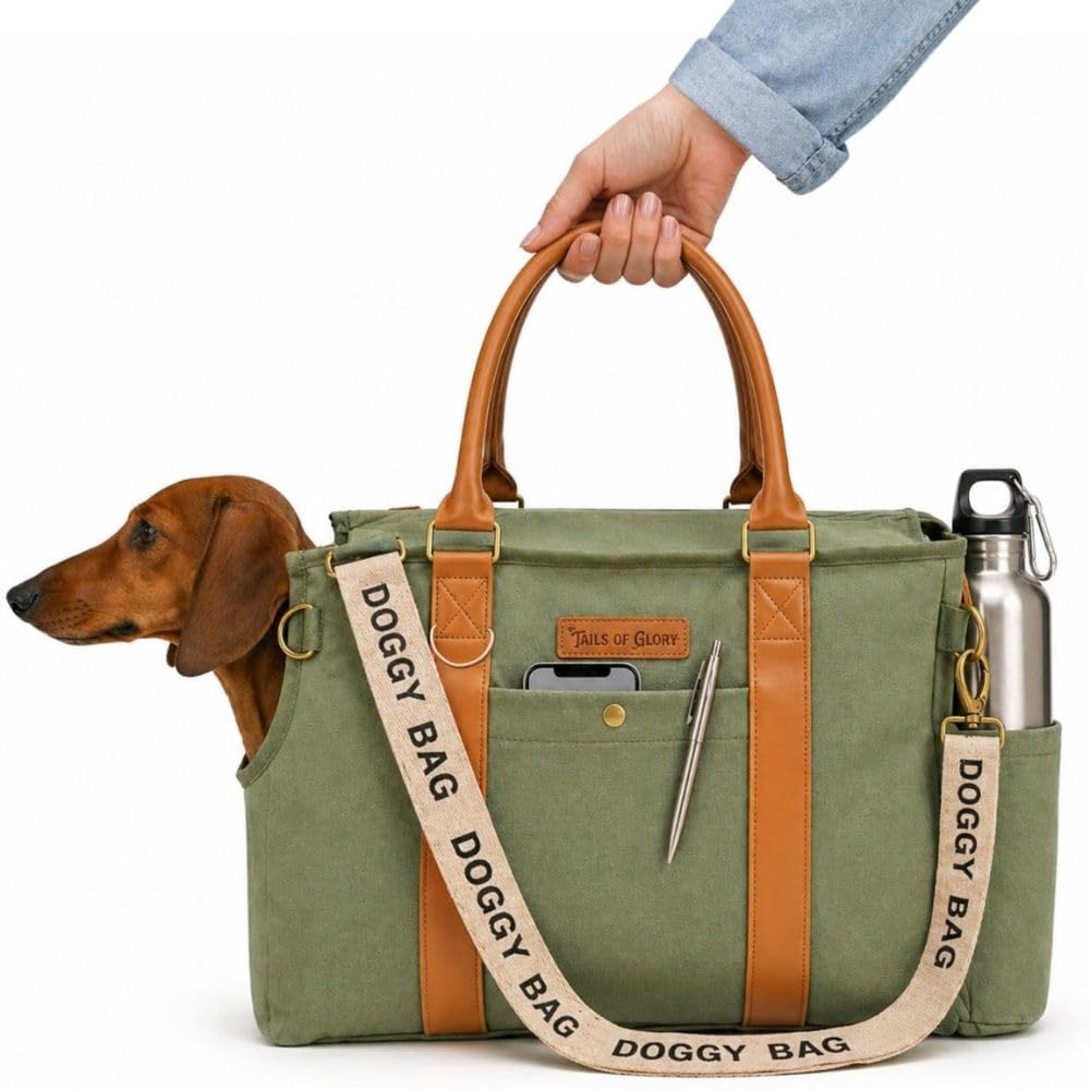 Jane Hundetasche Grün – Stilvolle Hundetransportbox für kleine Hunde bis 8 kg, Faltbare Transportbox