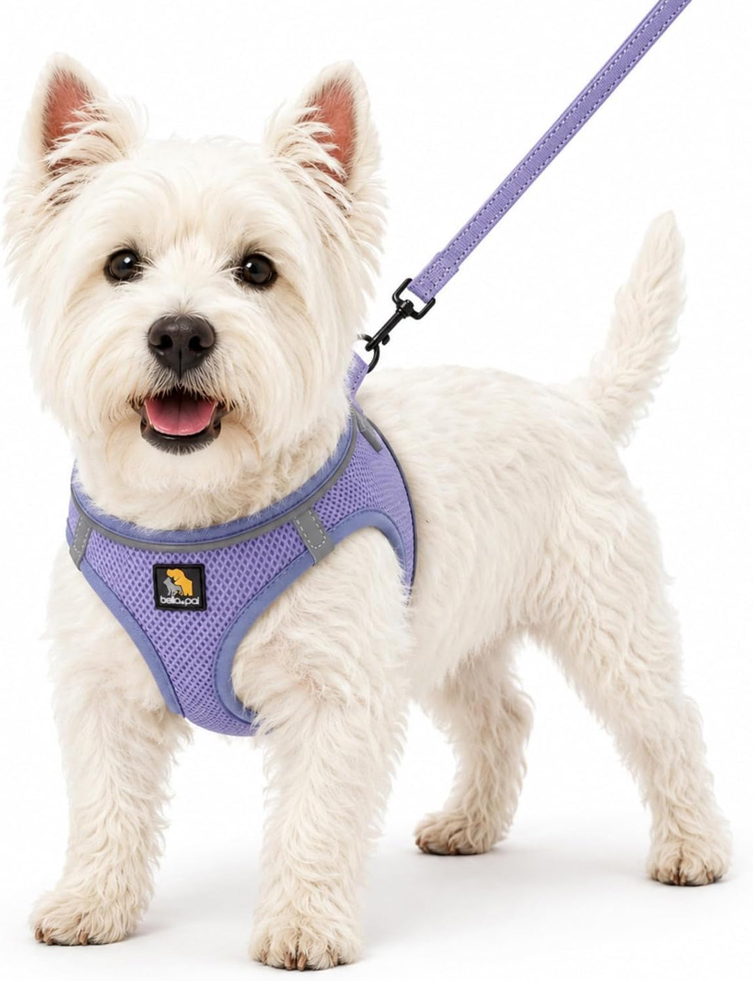 BELLA & PAL Hundegeschirr Kleine Hunde mit Leine, Step-in Geschirr aus Air Mesh, Anti Zug Reflektier