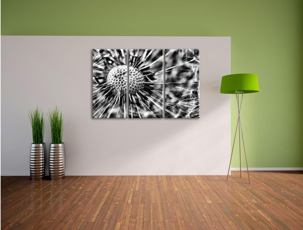 Pixxprint Pusteblume als Leinwandbild/Grösse: 3 Teilig (120x80) cm/Wandbild/Kunstdruck/fertig bespan