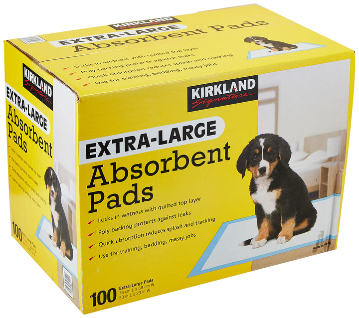 Kirkland Signature Extra grosse Saugeinlagen, 100 grosse Pads, 30 x 23 (Originalversion)