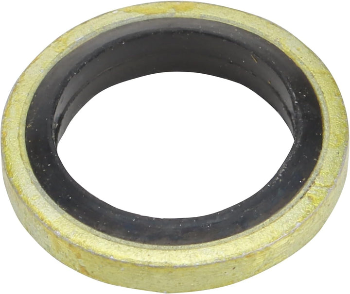 WOOSTAR Edelstahl M10 x 1,25 Hohlschrauben Bremsadapter mit M10 Kupfer Unterlegscheiben Packung mit