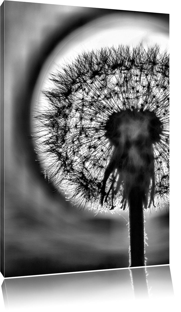 Pixxprint Pusteblume / 100x70cm Leinwandbild bespannt auf Holzrahmen/Wandbild Kunstdruck Dekoration,