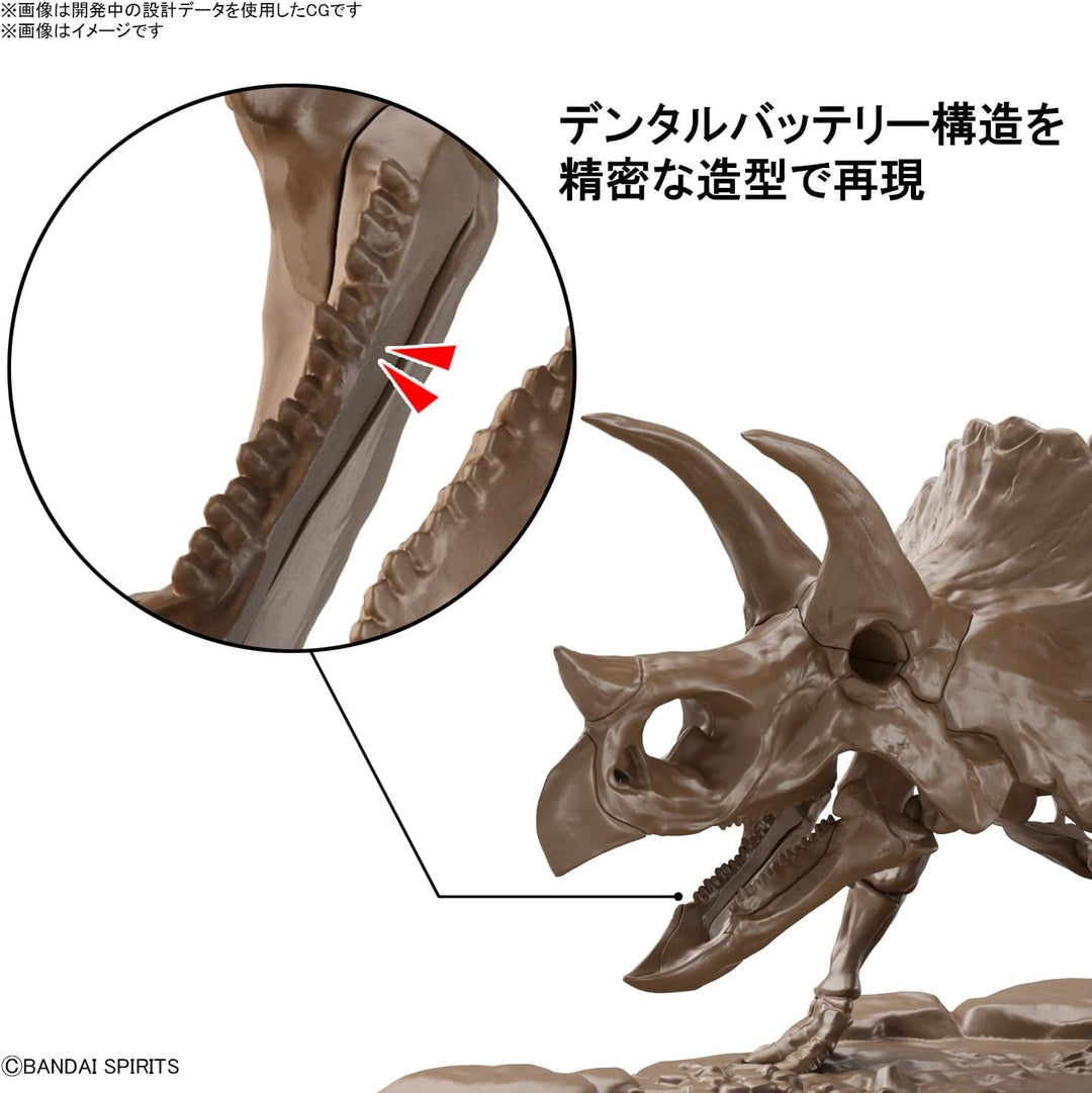 BANDAI Hobby - 1/32 imaginäres Skelett Triceratops