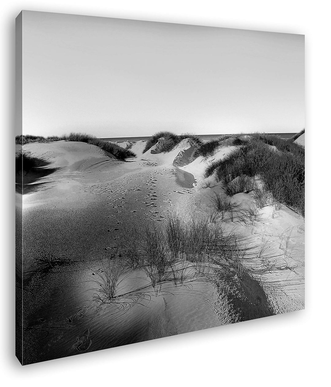 deyoli Gras bedeckte Sanddünen Format: 70x70 Effekt: Schwarz&Weiss als Leinwandbild, Motiv fertig ge