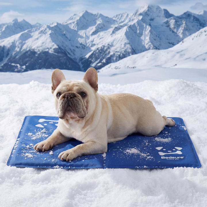 BEDSURE Kühlmatte für Hunde mittelgrosse – 65x50cm selbstkühlende Gelmatte mit kratzfestem 300D Oxfo