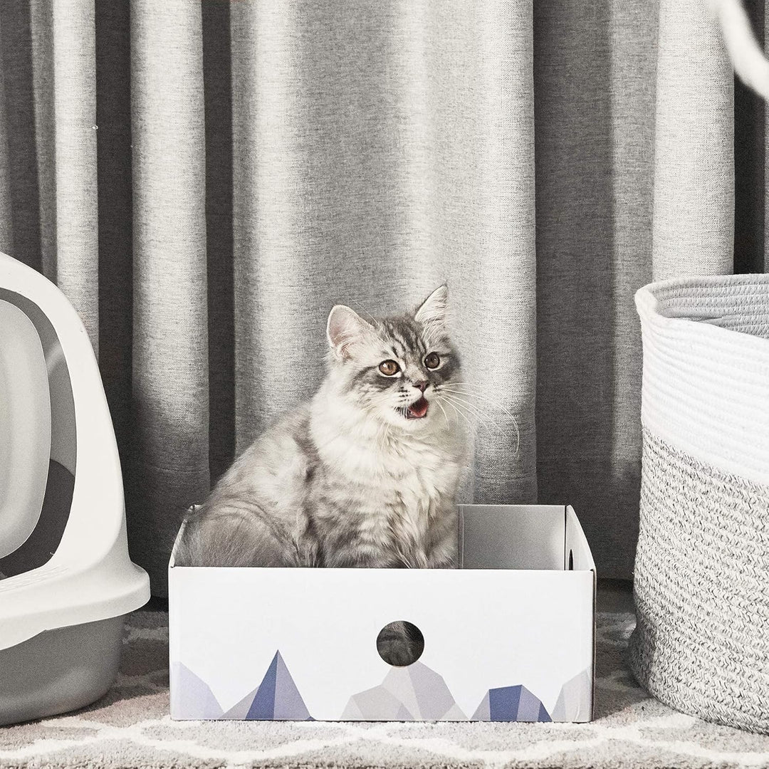 Conlun 5er-Pack Kratzbrett Katze mit Box, Beidseitige Kratzpappe für Katzen, Interaktive Öffnungen,