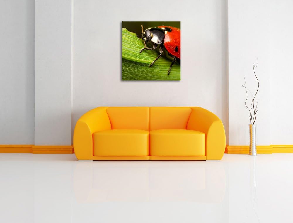 Pixxprint Marienkäfer in Detailaufnahme als Leinwandbild/Grösse: 70x70 cm/Wandbild/Kunstdruck/fertig