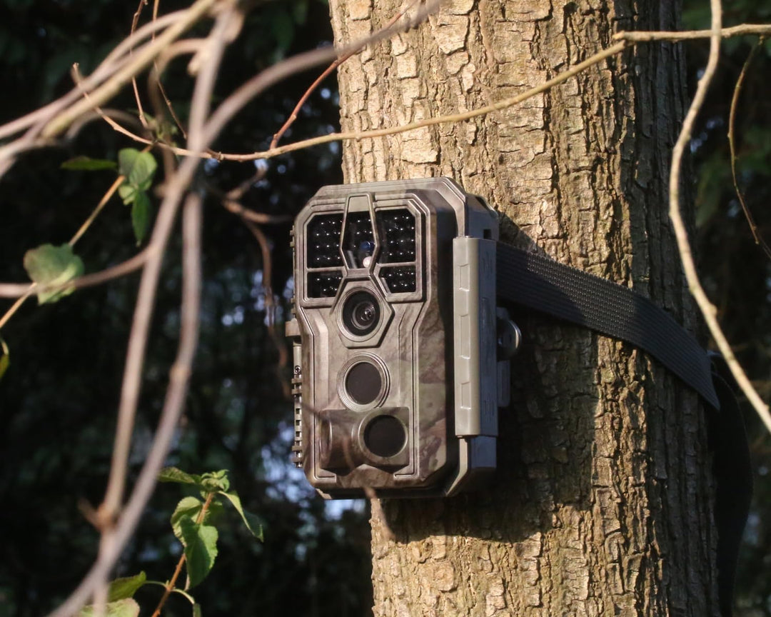 GardePro E5S Wildkamera 32MP 1296P H.264 Video, Wildtierkamera mit Bewegungsmelder Nachtsicht bis 30