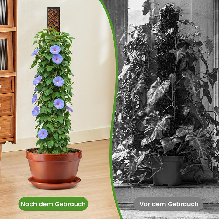 Moosstab für Monstera Rankhilfe Zimmerpflanzen - 103cm Rankhilfe Pflanzstab Monstera,Efeutute Pflanz