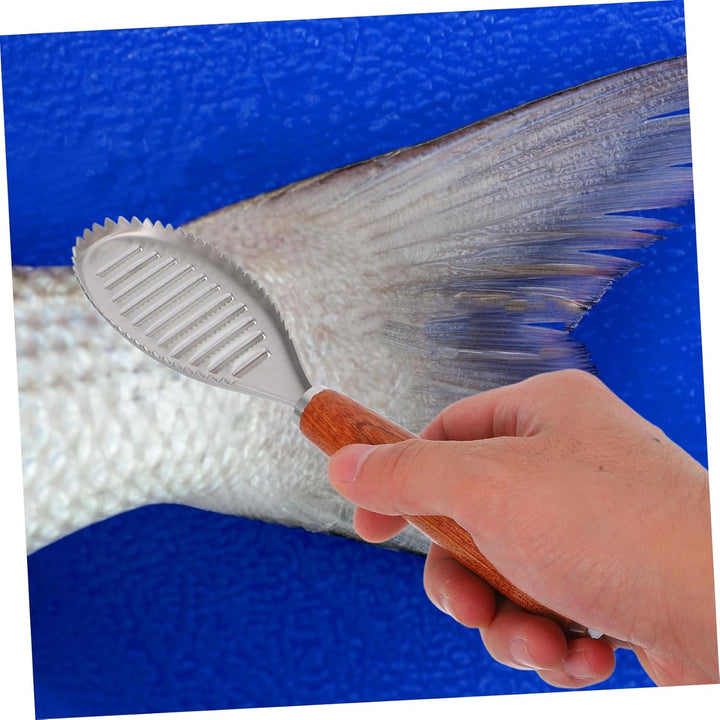 Cabilock Glasschaber Fisch Pinzette Fisch Pinzette Fischschuppe Fischentschupper Fischschuppenschabe