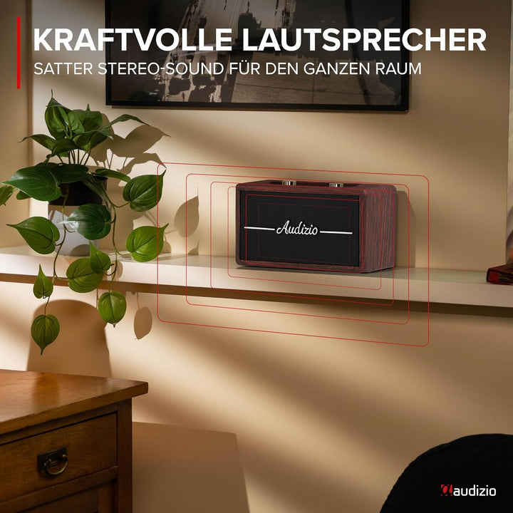 Audizio Tune60 - DAB Radio mit Bluetooth Lautsprecher, Fernbedienung, FM, 40 Watt, Batterie- Netzbet