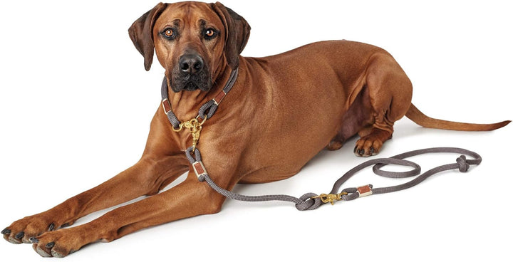 HUNTER Sansibar RANTUM Verstellbare Führleine für Hunde, modern, nautisch, 1 x 200 cm, grau &amp; Sansib