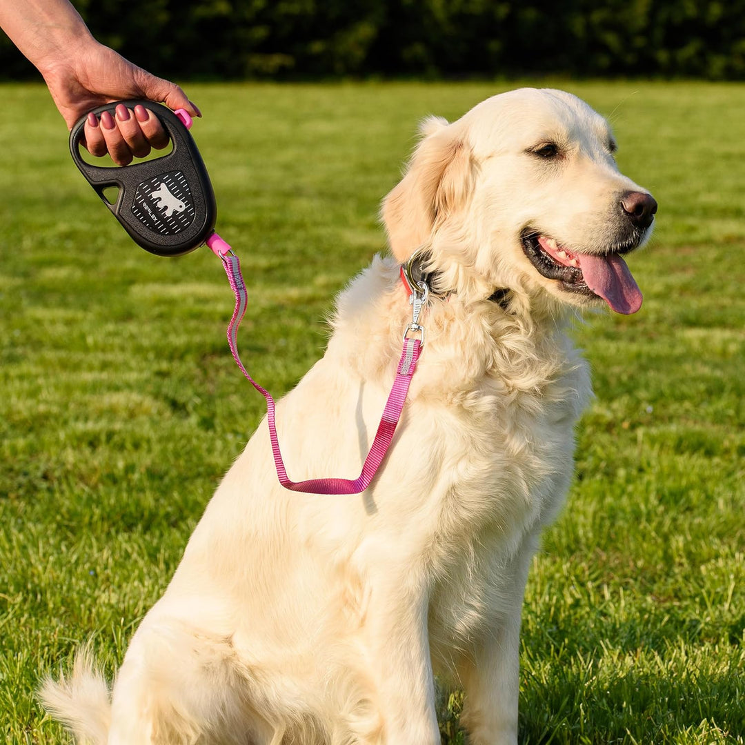 Ferplast Reflektierende Hundeleine Flippy ONE Reflex, Rollleine mittelgrosse Hunde bis 20 kg. Auszie