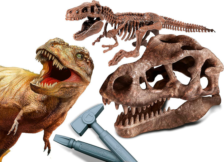 Clementoni - Wissenschaft Archäogiocando-Dig Trex 2in1-Dinosaurus, Fossilien zum Ausgraben und Zusam