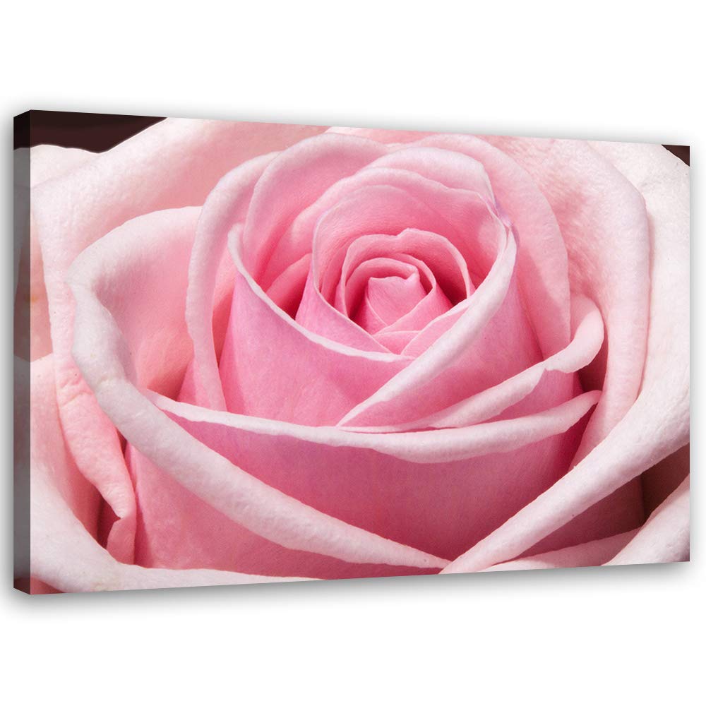 Feeby Bilder Blumen Rosa Rosen XXL 90x60 cm 1Teilig Wohnzimmer Schlafzimmer Bild auf Leinwand Wandbi