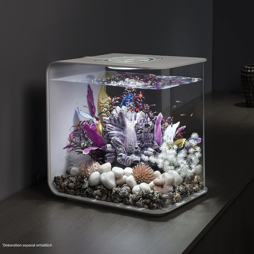 biOrb 72034 FLOW 30 LED in weiss – elegantes Design-Aquarium Komplett-Set mit Filter-System, LED-Bel