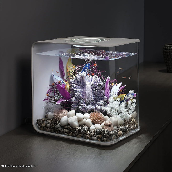 biOrb 72034 FLOW 30 LED in weiss – elegantes Design-Aquarium Komplett-Set mit Filter-System, LED-Bel