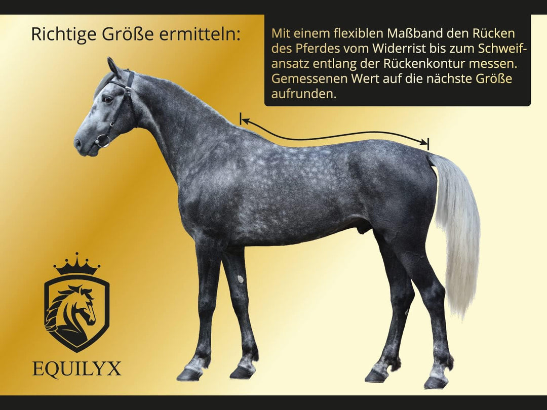 EQUILYX® Abschwitzdecke Pferd mit Teddy-Kragen und abnehmbaren Kreuzgurten [perfekte Passform] Fleec