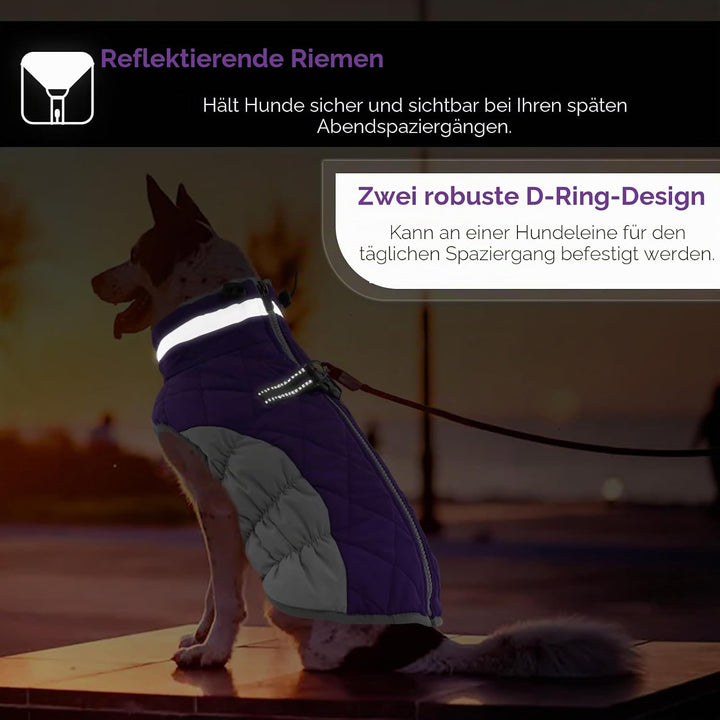 AOFITEE Hundejacke Kleine Hunde, Wasserdicht Hunde Wintermantel Warm Hundemantel mit Geschirr, Rollk