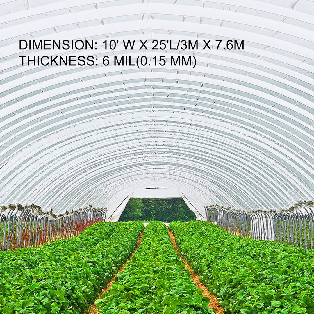 Happybuy Greenhouse Film 10 x 25 ft, Polyethylen-Folie 6 Mil Dicke, UV-Beständig, Wärmeisolierend, Ü