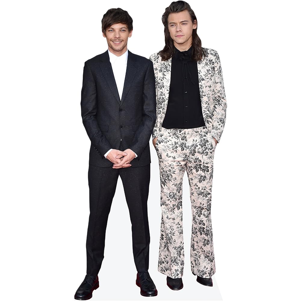 Louis Tomlinson and Harry Styles (Duo 2) Mini-Prominente Ausschnitt