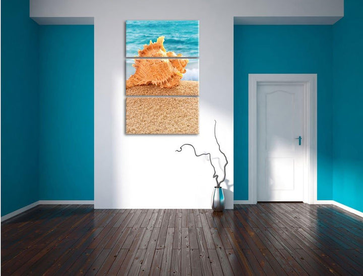 Pixxprint Muschel am Strand 3-Teiler Leinwandbild 120x80 Bild auf Leinwand