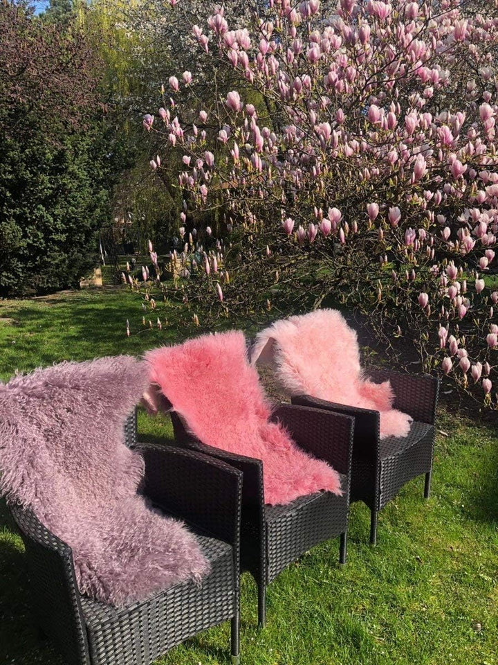 Hollert Lammfell Tibet Sheepskin Monglolisches Schaffell gelockt sehr weich Echtfell Dekoration Läuf