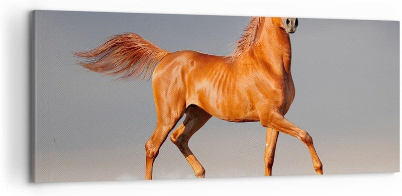 Wandbilder Dekoration Wohnzimmer Tiere Pferd Galopp Geschwindigkeit Bilder auf Leinwand 120x50cm Lei