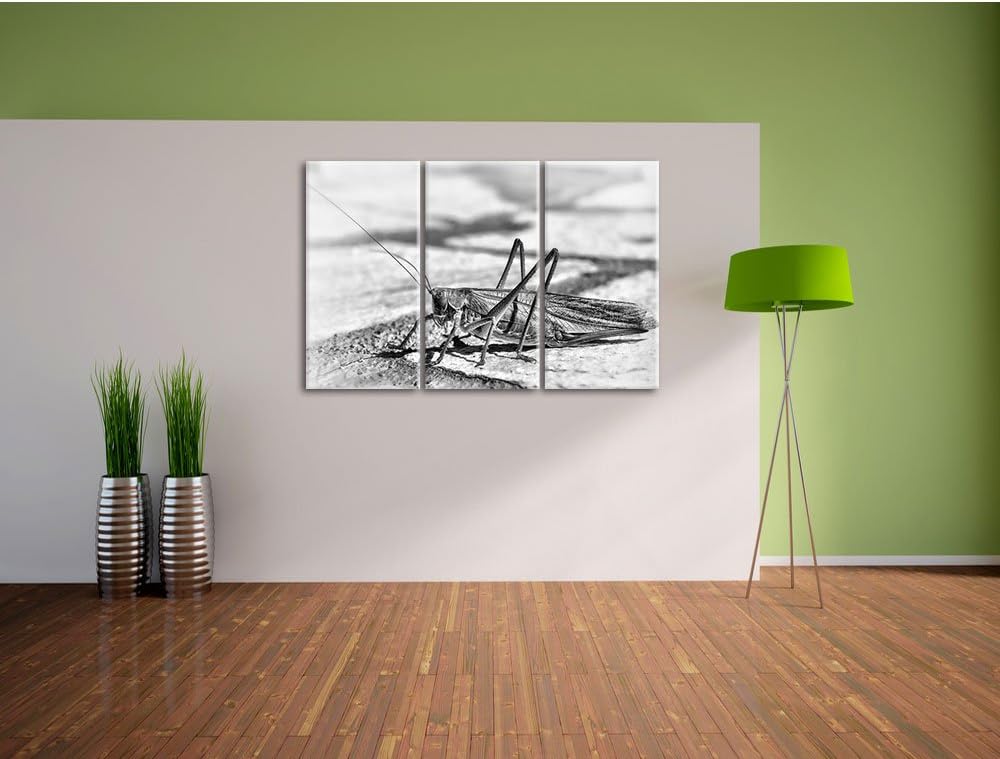 Pixxprint Elegante Heuschrecke als Leinwandbild/Grösse: 3 Teilig (120x80) cm/Wandbild/Kunstdruck/fer
