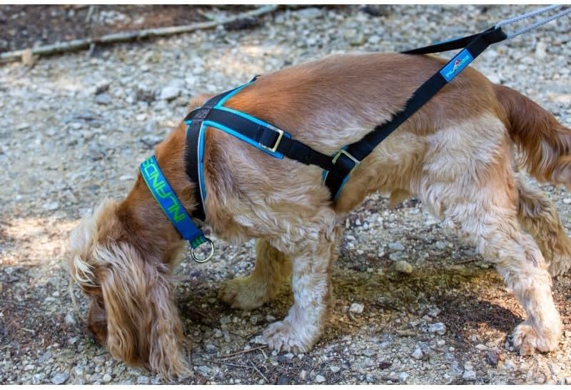 inlandsis Canicross Geschirr für kleine Hunde, Open-Back S Rosa / Schwarz, S Rosa / Schwarz