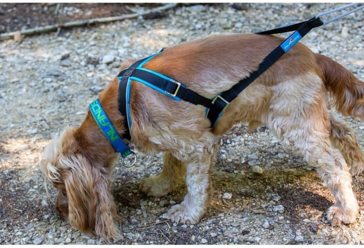 inlandsis Canicross Geschirr für kleine Hunde, Open-Back S Rosa / Schwarz, S Rosa / Schwarz