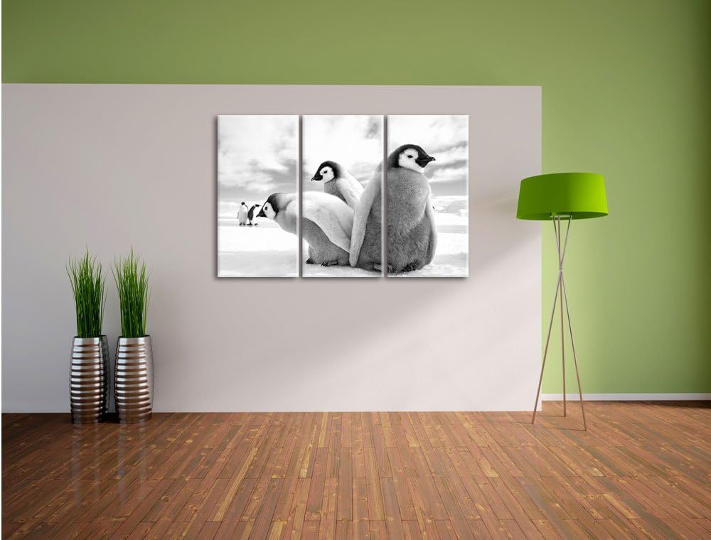 Pixxprint Kaiserpinguin Gruppe als Leinwandbild/Grösse: 3 Teilig (120x80) cm/Wandbild/Kunstdruck/fer