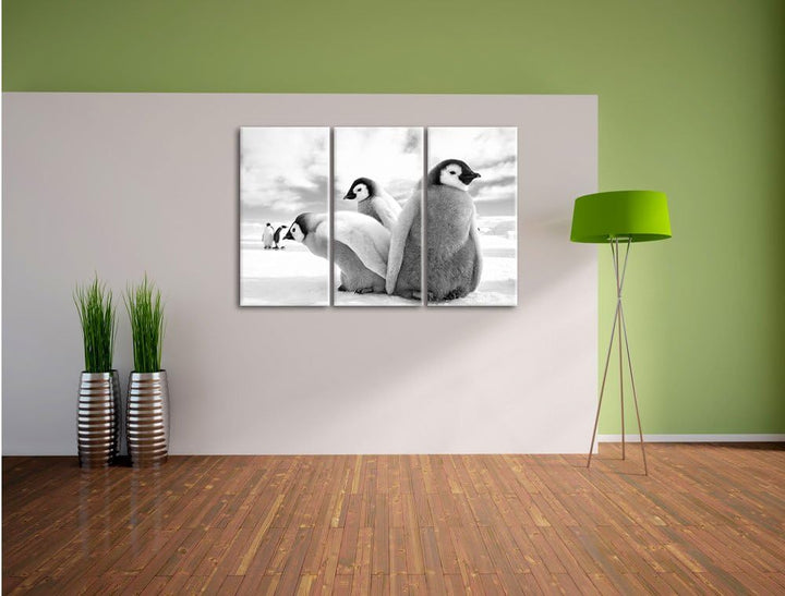 Pixxprint Kaiserpinguin Gruppe als Leinwandbild/Grösse: 3 Teilig (120x80) cm/Wandbild/Kunstdruck/fer