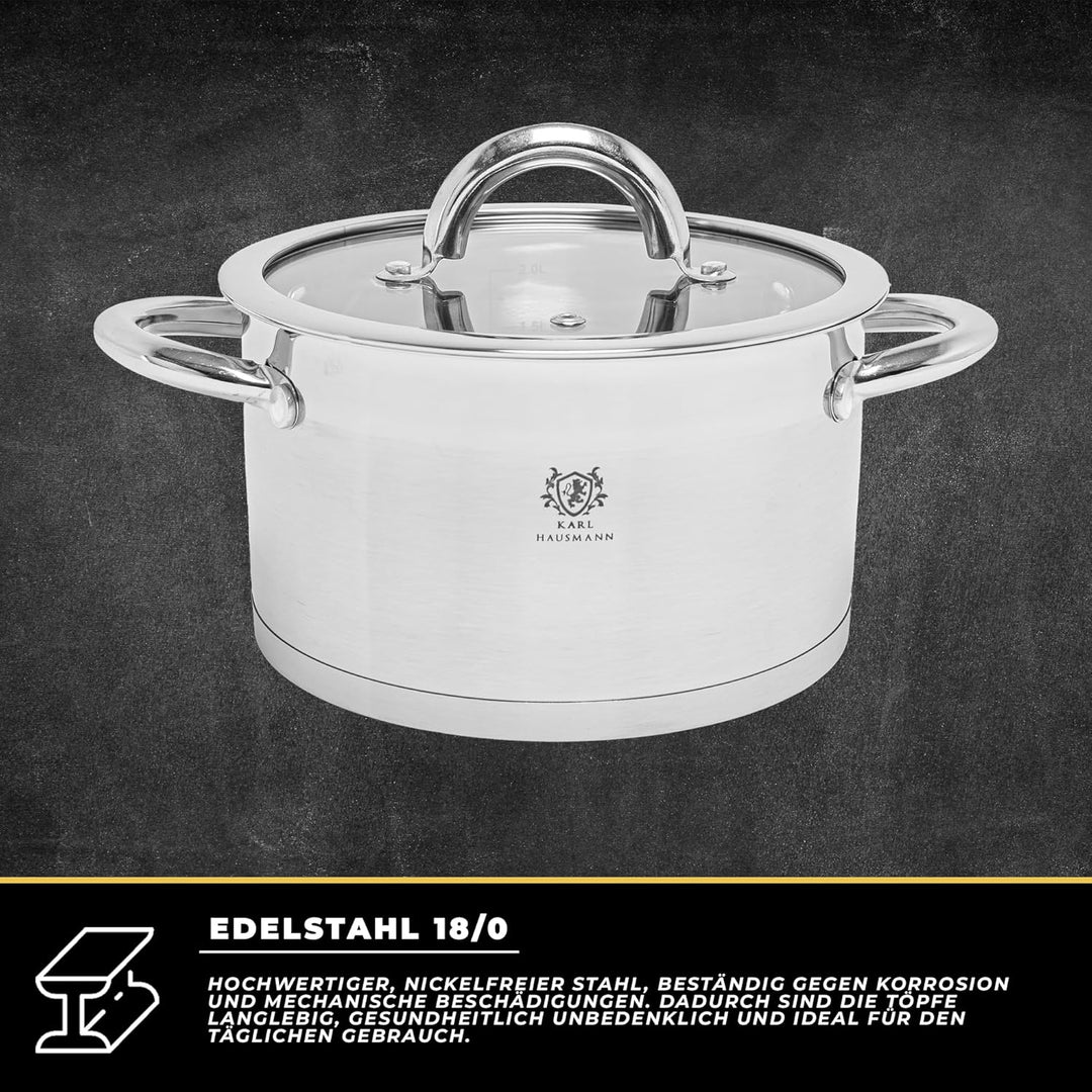 Topfset Induktion 4-teilig, Kochtopf Set mit Glasdeckel, Edelstahl mattiert, Induktions Töpfe Set un