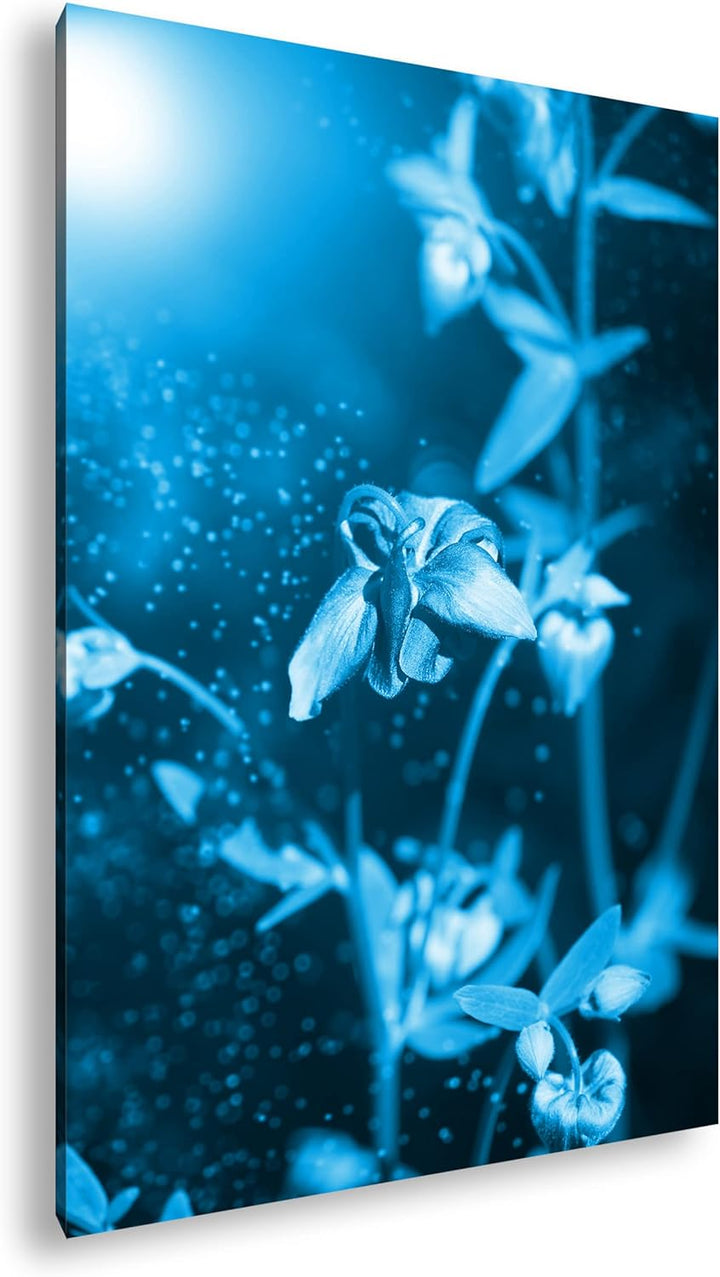 deyoli exotische Wildblume Format: 100x70 Effekt: Monocrome Blau als Leinwandbild, Motiv fertig gera