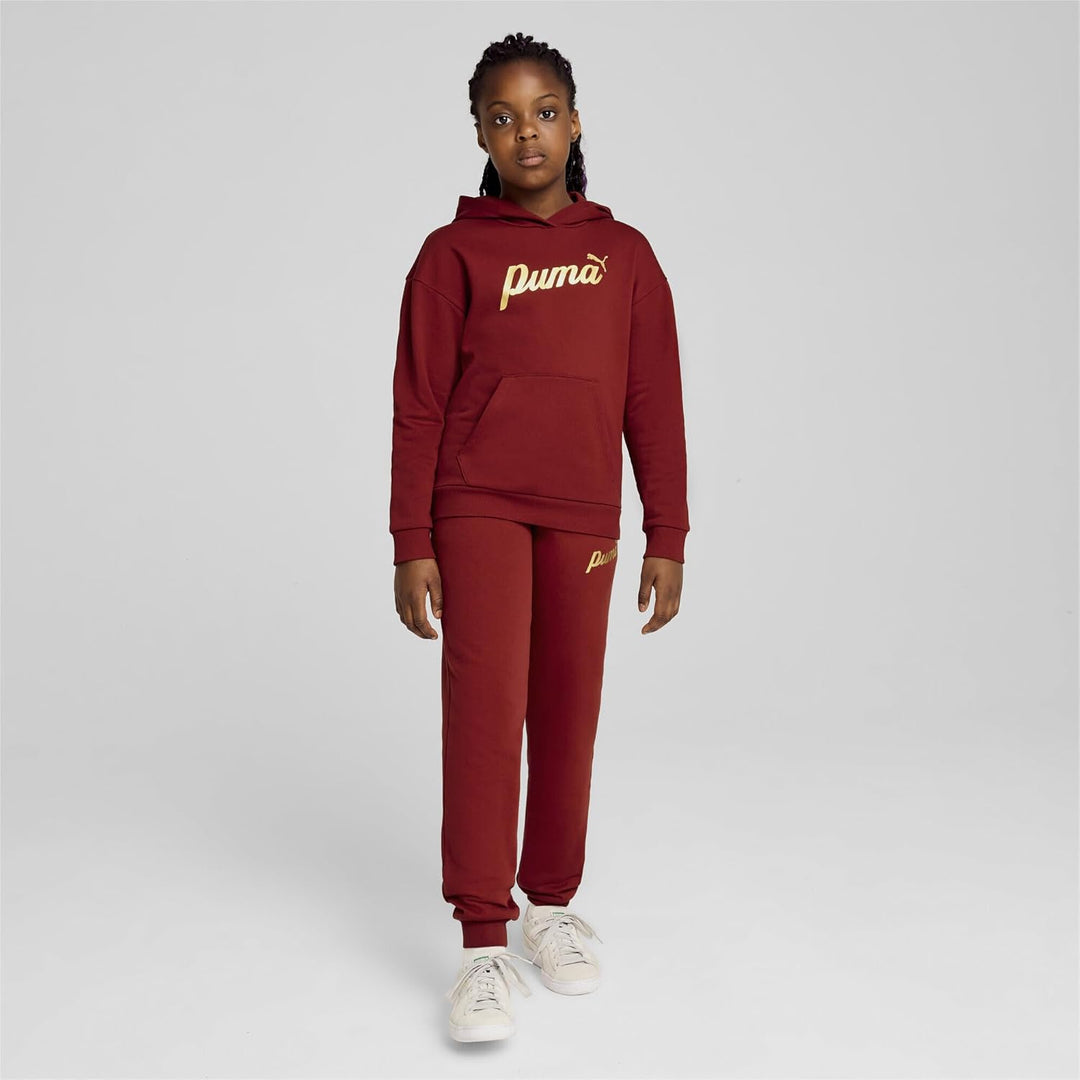 PUMA Mädchen ESS+ Script Metallic Hoodie FL Sweat 176 Intensive Rot-goldfolie, 176 Intensive Rot-gol