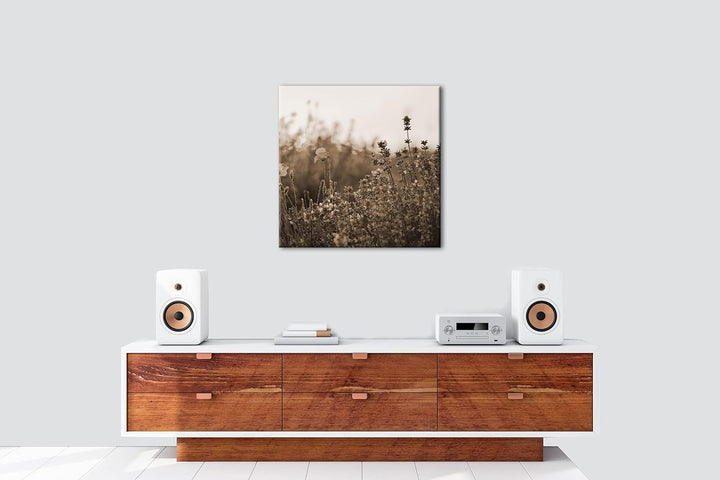 blühender Lavendel und Mohn Effekt: Sepia Format: 60x60 als Leinwandbild, Motiv fertig gerahmt auf E