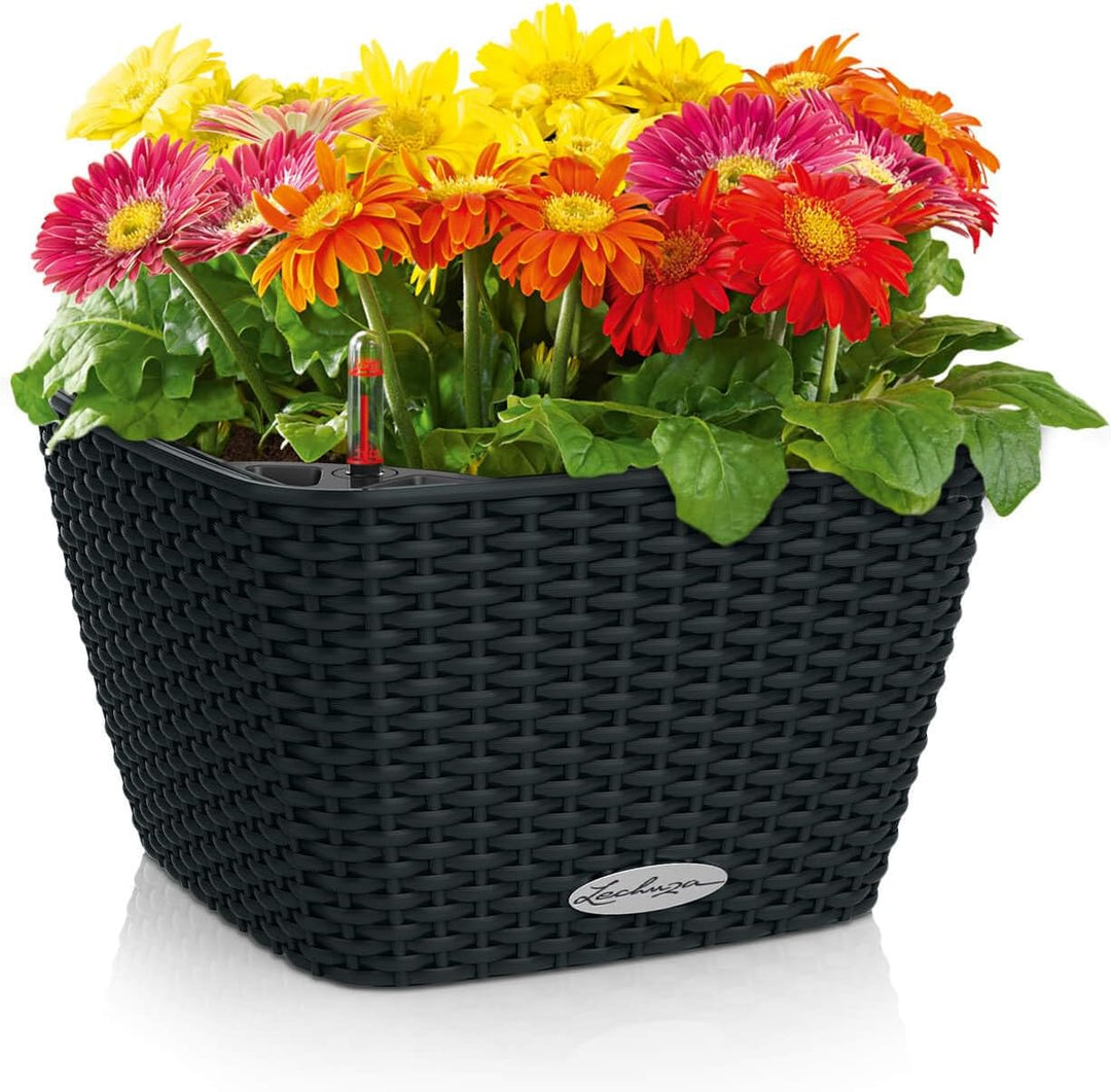 LECHUZA BACINO Cottage graphitschwarz 15468