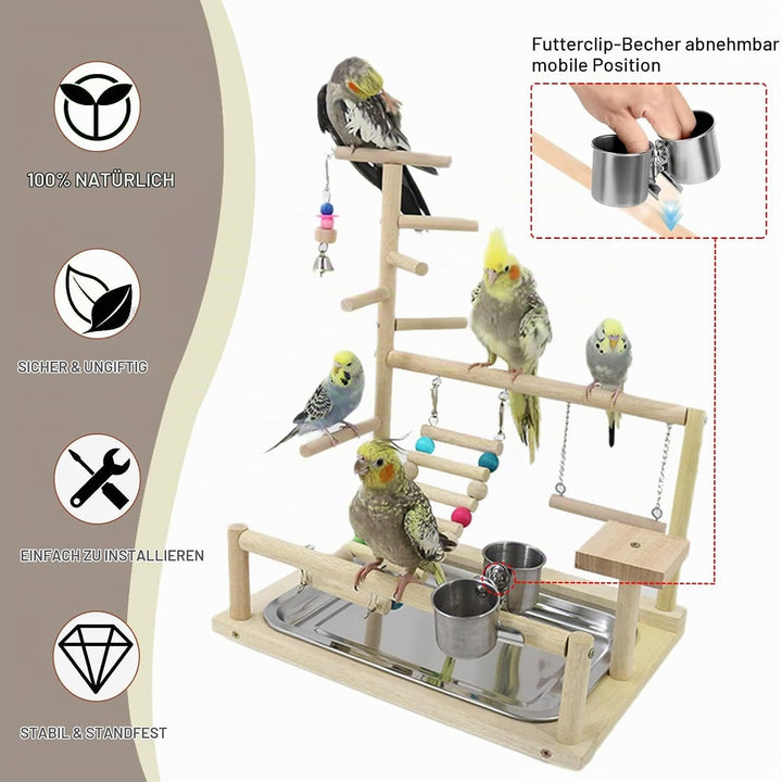 Wellensittich Spielplatz Vogel-Spielplatz mit Feeder-Cup Spielzeug Leiter Erklimmen Schaukel und Tab
