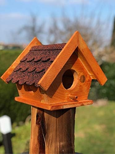 DARLUX Eichhörnchen Futterhaus wetterfest und stabile, Handmade aus eigener Produktion, Futterstatio