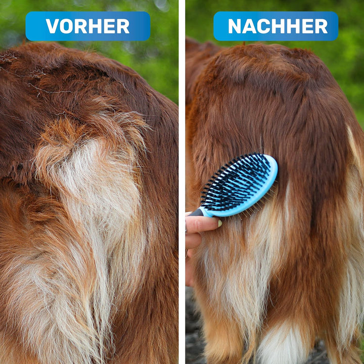 BluePet "DoppelDecker" 2in1 Hundebürste für Langhaar & Kurzhaar - Auch für Welpen & Katzen - Glätten