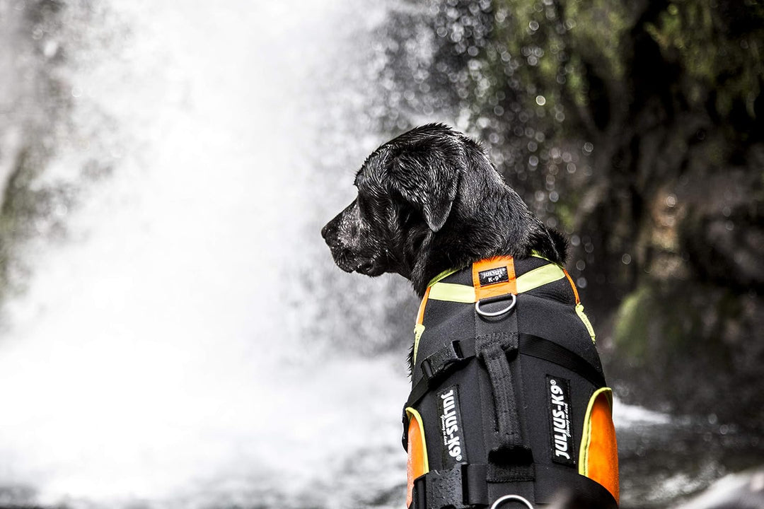 Julius-K9, IDC Multifunktionale Hundeweste 3in1, Grösse: XL, Schwarz und UV Orange XL Schwarz und Ne