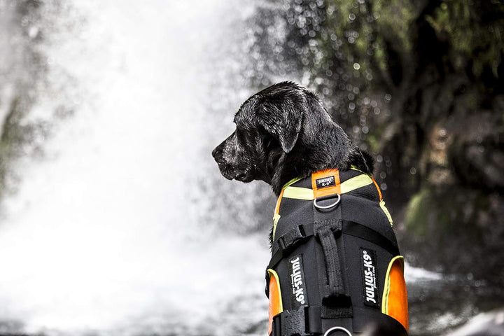 Julius-K9, IDC Multifunktionale Hundeweste 3in1, Grösse: XL, Schwarz und UV Orange XL Schwarz und Ne