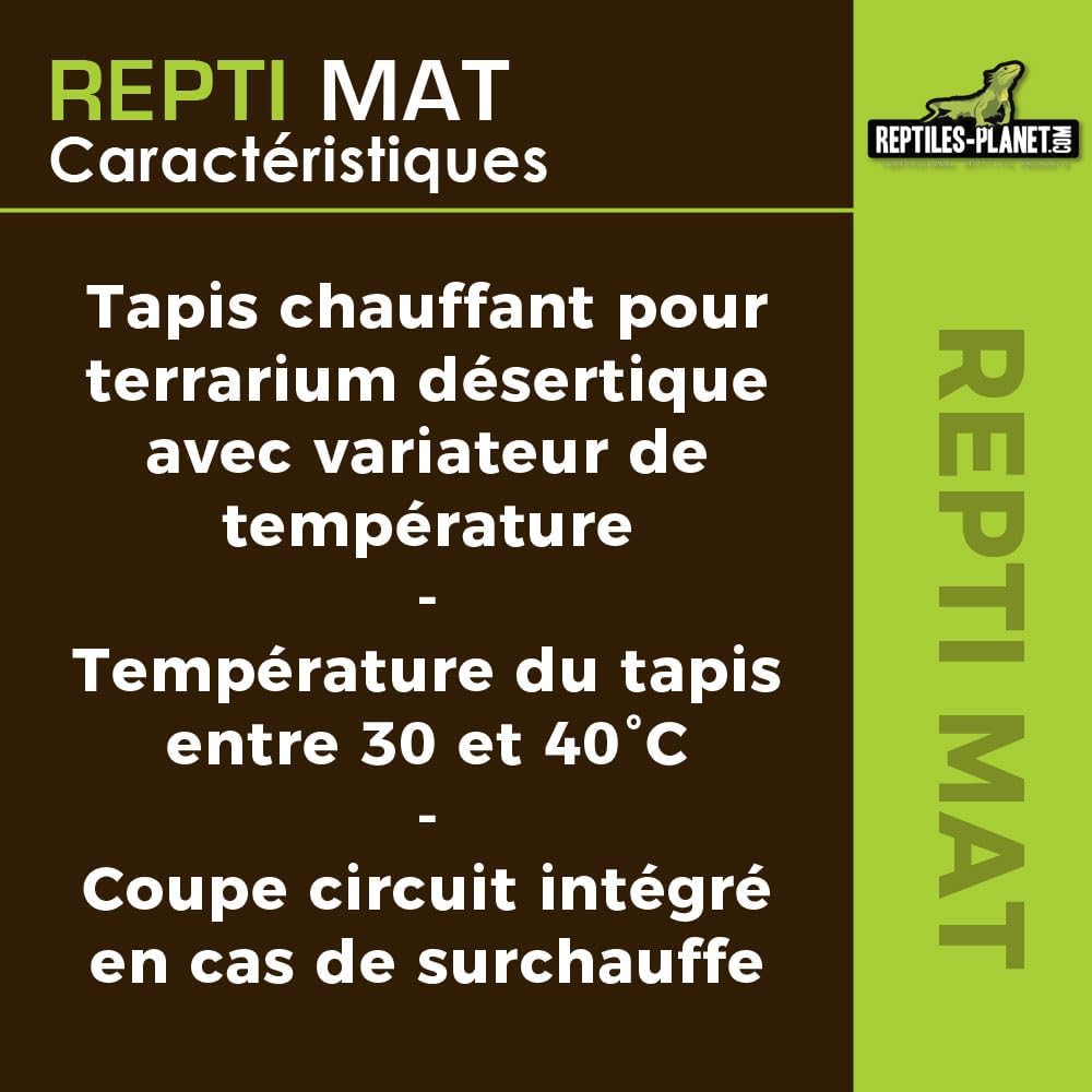 Reptiles Planet Heizmatte für Reptile matt 35 W 65 x 28 cm 65 x 28 cm (1er Pack), 65 x 28 cm (1er Pa