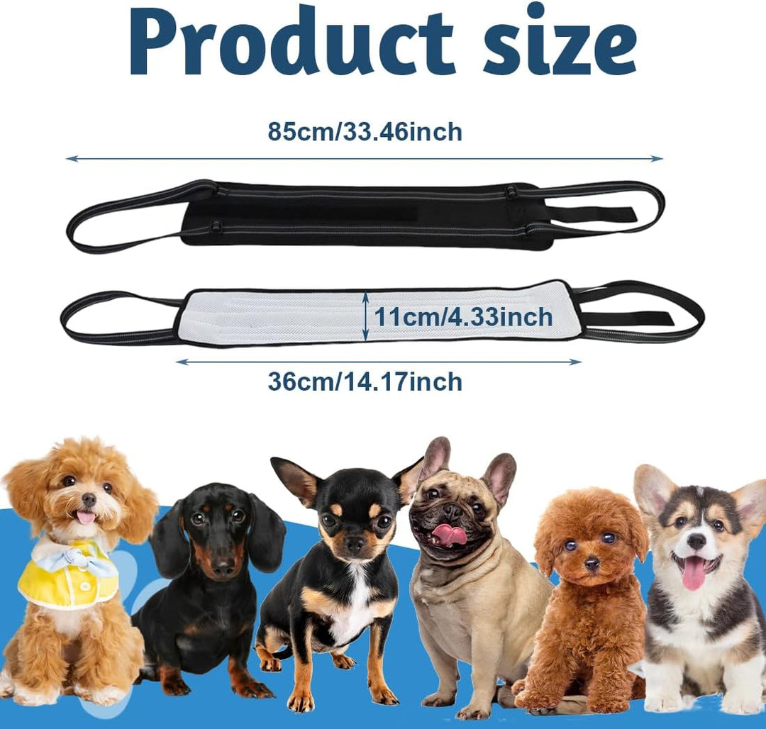 1 Stück Geeignet für Kleine Hunde Hunde Tragehilfe,Für die Unterstützung Von Behinderte Hunde und Äl