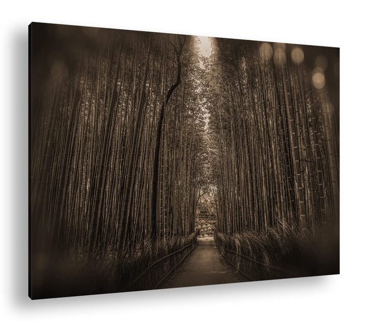 deyoli Wald voller Bambus Effekt: Sepia, Format: 100x70 als Leinwandbild, Motiv fertig gerahmt auf E