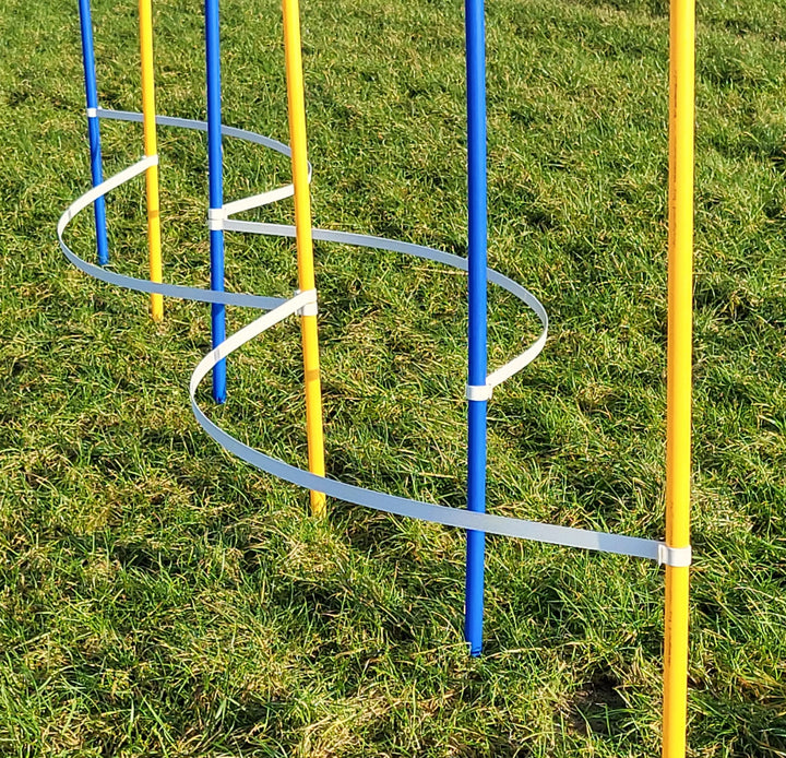 Agility - Slalom - AUSBILDUNGSSET MIT 4 SLALOMBÖGEN/TRAININGSBÖGEN + 6 SLALOMSTANGEN GELB/BLAU